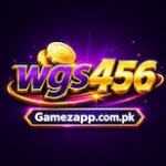 WGS 456 Game